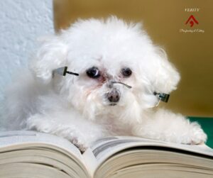 Self-editing tips for authors on a budget